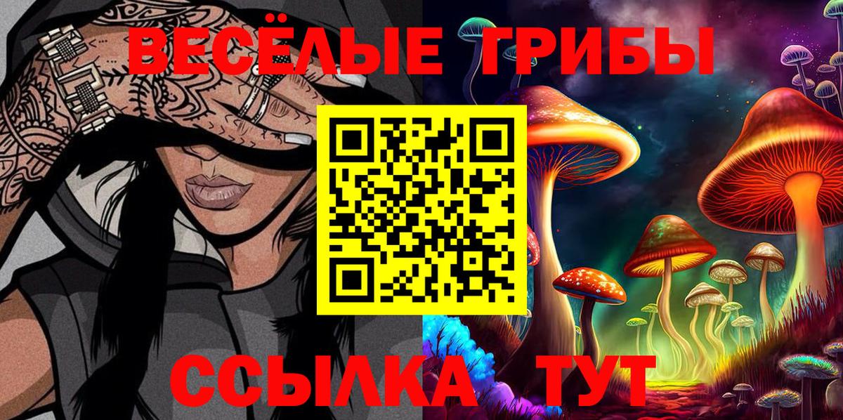 Галлюциногенные грибы Psilocybine cubensis Мытищи